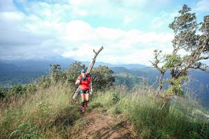 BIB: 
                            <button type="button" onclick="openModal(22373203)" class="btn btn-primary btn-sm float-right btn-popup" data-toggle="modal" data-target=".modal-high-quality">
                        <i class="fas fa-shopping-cart"></i> Add to Cart
                    </button>
                                            <button type="button" onclick="isThisMe(22373203, true)" class="btn btn-success btn-sm float-right btn-popup btn-isme hidden" data-toggle="tooltip" data-placement="bottom" title="นี่คือรูปของคุณใช่ไหม คลิกที่นี่เพื่อเอาเข้าอัลบั้ม">
                        <i class="fas fa-plus"></i> Add to album
                    </button>
                    <button type="button" onclick="isThisMe(22373203, false)" class="btn btn-warning btn-sm float-right btn-popup btn-isnotme hidden">
                        <i class="fas fa-ban"></i> Remove from album
                    </button>